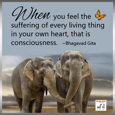 10358707_711175542293786_5409666134427580878_n