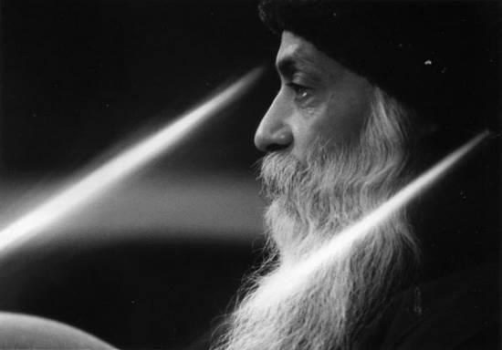 1977438_10152343763766241_435619106_n