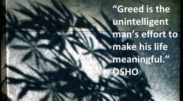 10703821_10152751913442069_5746447574593965056_o