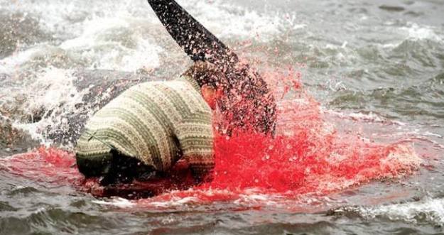 1463896_10152611259820932_2849774556377577719_n