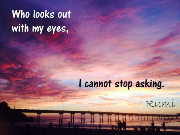 10685350_946392768707491_7904770616383391654_n