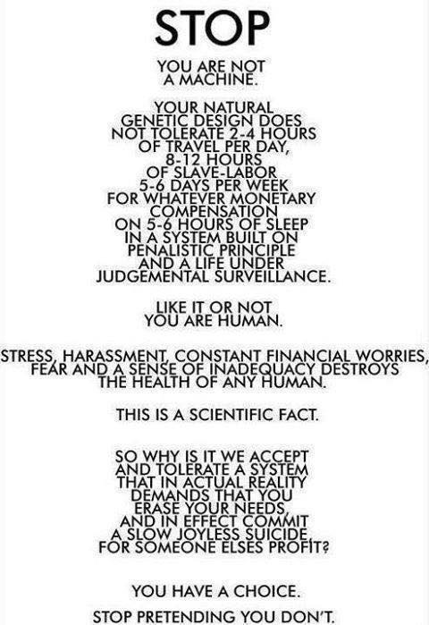 10701926_840929809272330_2684122334951434265_n