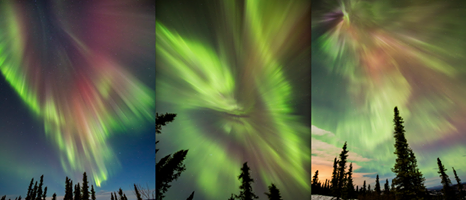 1527105_869700379720805_356968992080304009_n