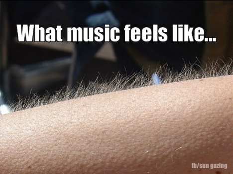 1897826_435870139901154_452145112018398181_n