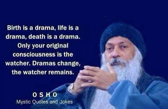 10425167_387113198121756_7599739172756523610_n