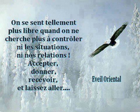 10806488_1002390646442676_6498867967335651900_n