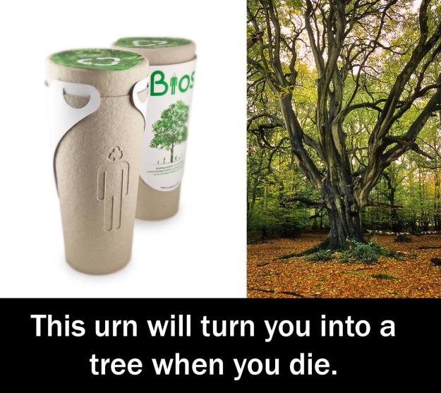 10917214_612198332244534_5240412738897795085_o