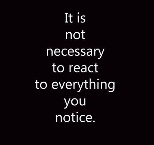 10940562_805323122850547_4526774722462677432_n
