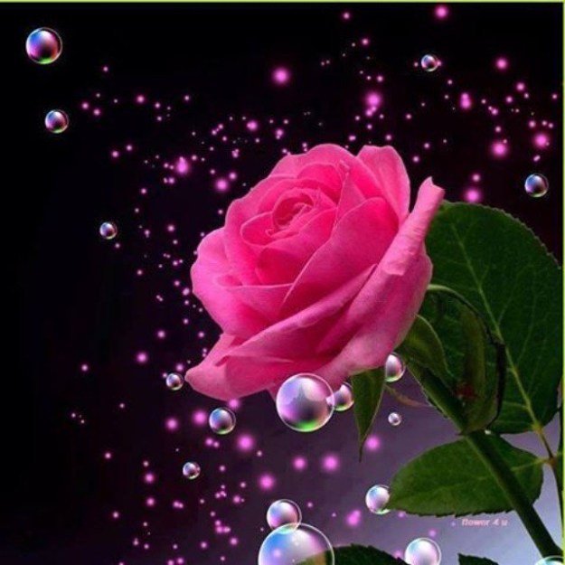 10422087_10152686938243543_2414726038001789418_n