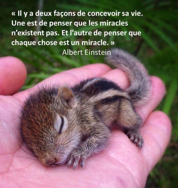 10426223_10153528640335828_6470686030188764345_n