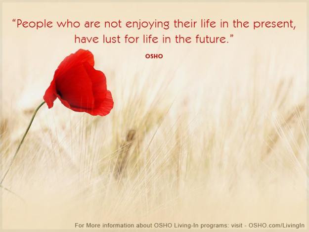 11025704_10153167825747069_1509207154934475414_n