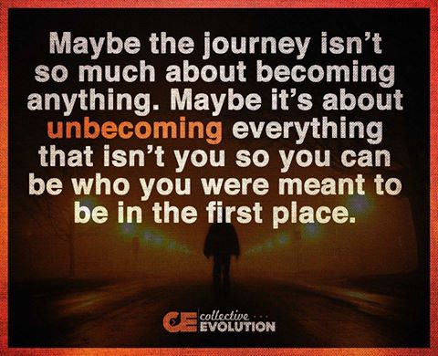 11025723_10153079416433908_611673779340884542_n