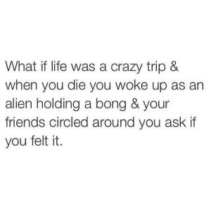 10377485_10152924583907744_9173548982131923881_n