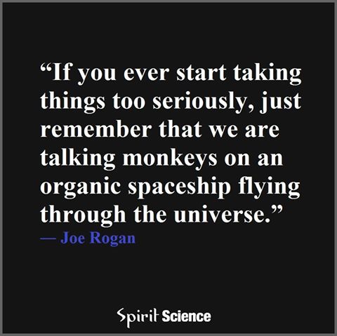 11037640_965971643443325_4737904864964039490_n