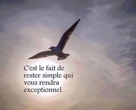 11062312_10153601429865828_5293844525843401624_n