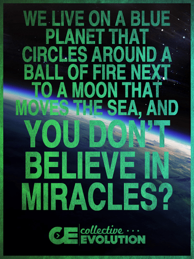 11159987_10153207942983908_507426089508119954_n