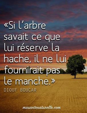 10982080_900795983277123_1136958260583614909_n