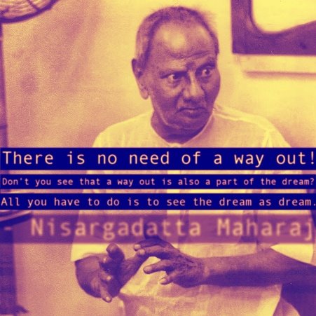 11205541_10153284207312350_7798242278112549148_n