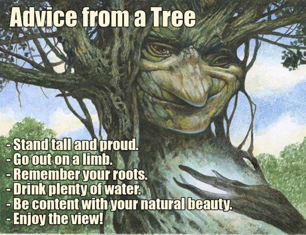 1551534_10152717555731512_2584236412947891547_n