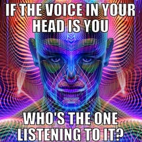 11163877_10152845912156536_1094073193781045657_n