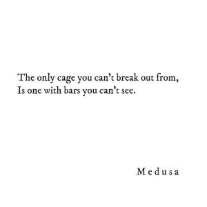 11180638_10153322424922731_7367535394491888529_n