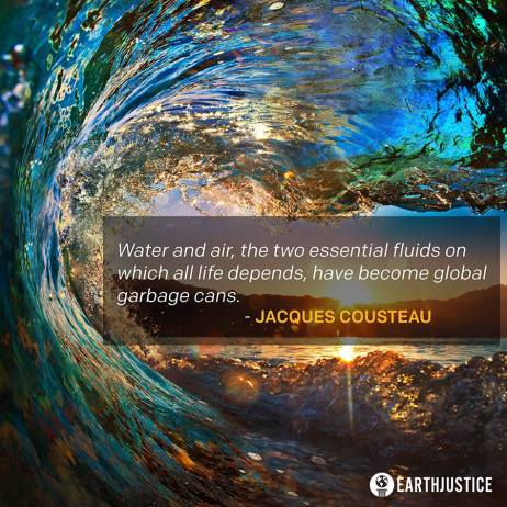 11391447_10155703247370301_797732913631013360_n