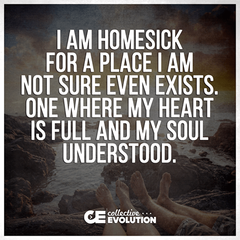 11063719_10153430731278908_3481622732170264040_n