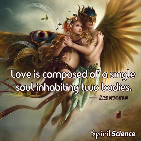 11402761_1060974743943014_7105132476817498713_n