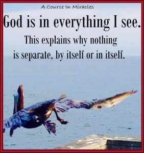 11667366_1109097242437042_1811790766580438086_n