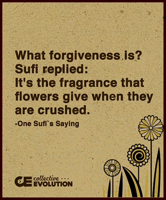 11760064_10153467801258908_7997292925672344200_n