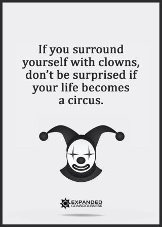 11218630_1006386546070531_7454257670641115001_n