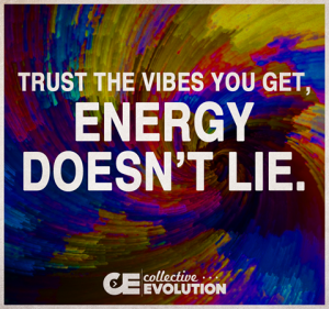 11232999_10153430762418908_8216297760724961803_n