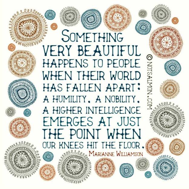 11393088_10155658166920650_5380618248868779148_n