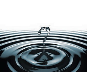 11800223_10204878373865377_7442524667281061944_n