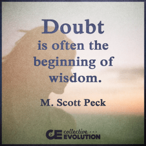 11825855_10153512432273908_4003073580218245165_n