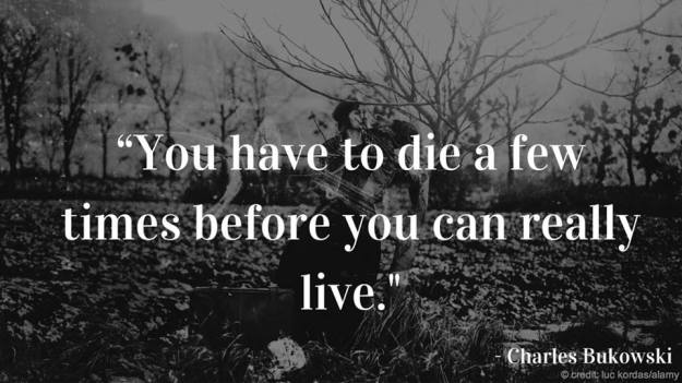 11896162_121011364912177_1364072424975562925_n