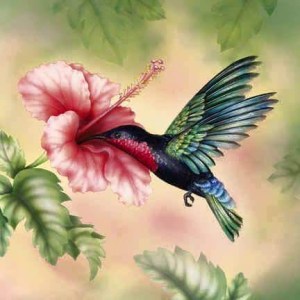 11892212_10207684724975206_6811242307118811701_n