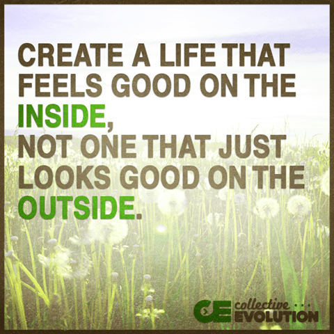 11990574_10153576359198908_9092460274108809777_n