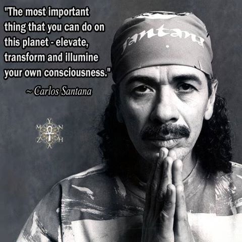 12003164_1071091862901185_6827037235519448638_n