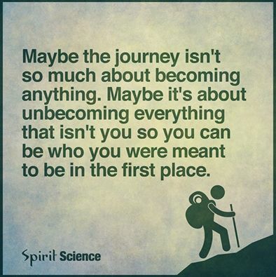 12006216_1151167048257116_2482048411043377174_n