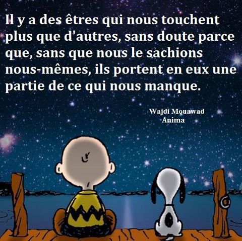 22595_1081581148536286_54079013415621987_n