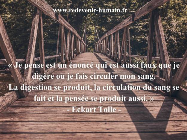 11054410_585258854945296_2722306057046214927_o