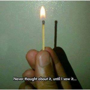 11887863_10152960352582751_8906281416351610994_n