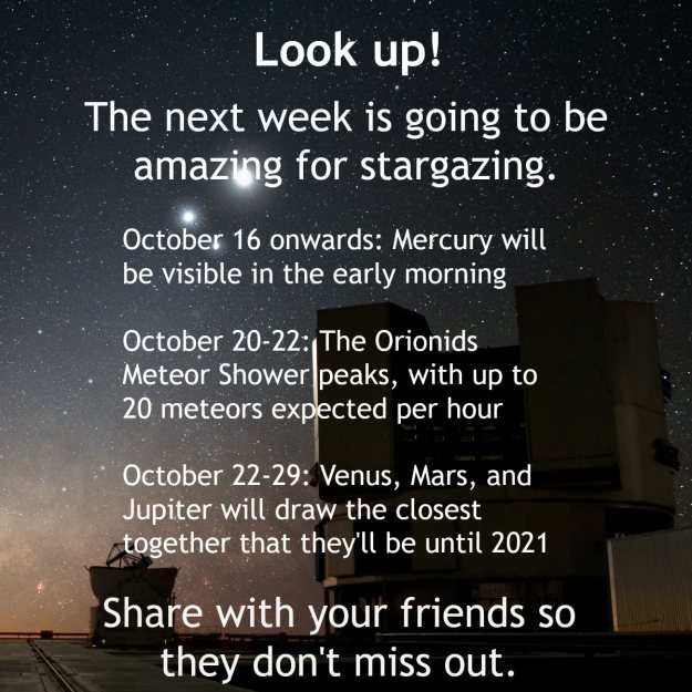 12080337_10153809921382518_6126997674399865815_o