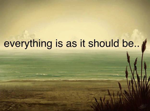 12241692_10153766312466241_6409047235889498524_n