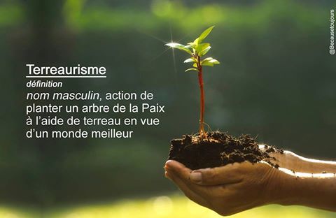 12241756_10206204300009956_652692420438895406_n