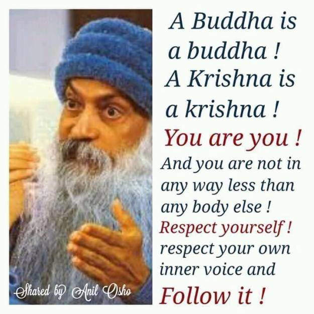 12274775_10207867252429048_8425709278773160735_n