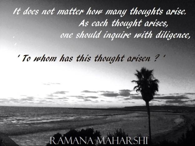 12509478_1219460714734027_6864314641775577795_n