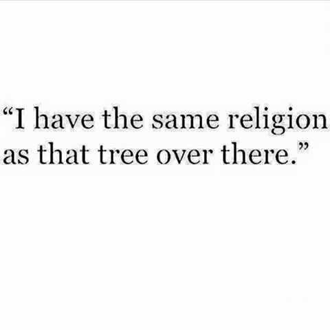 1914112_444516715756025_8720919396186133476_n