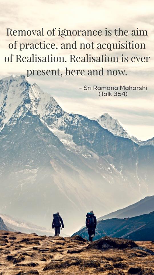 946798_10153800631799631_2132126002595743031_n